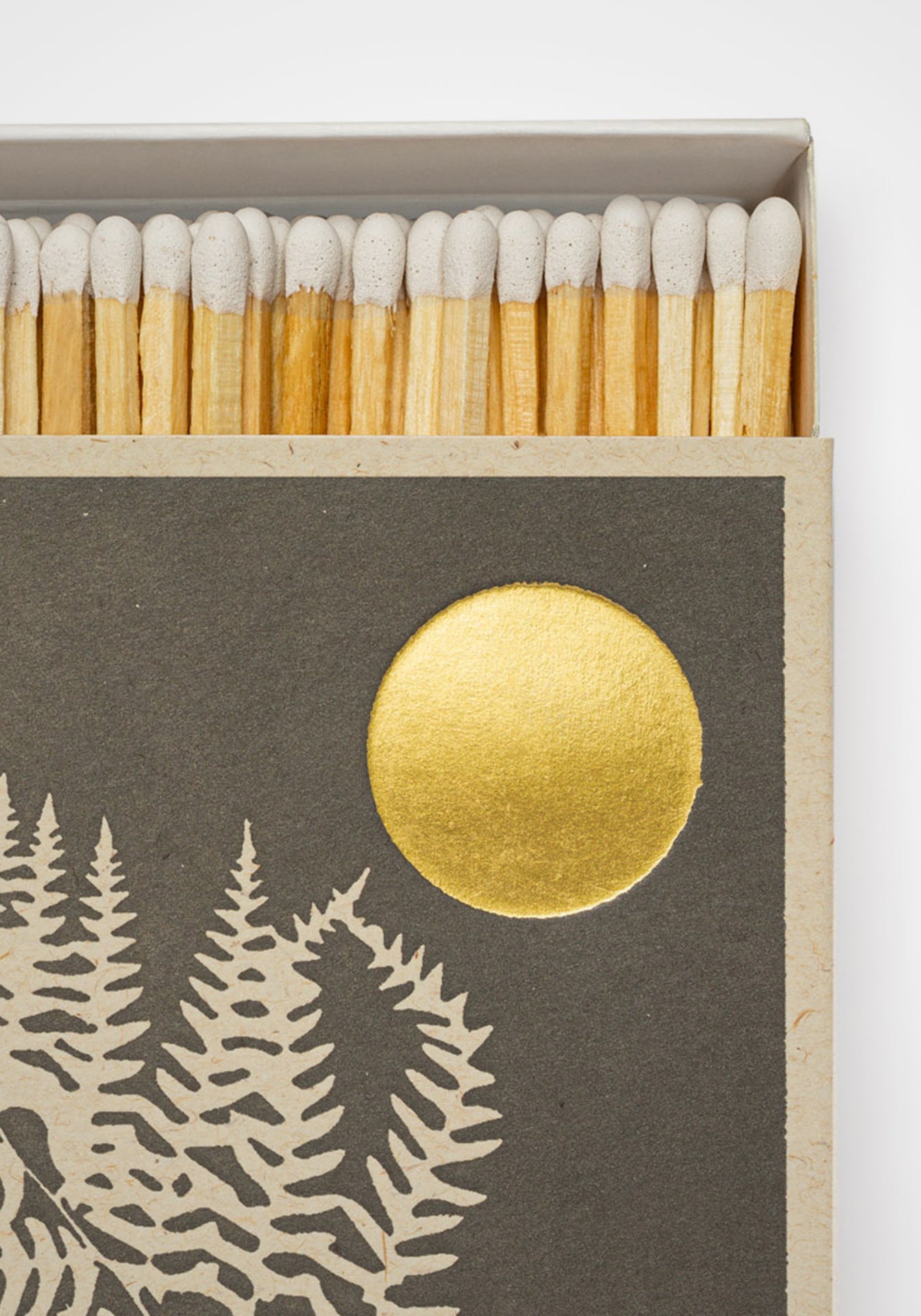 Fern Matchbox