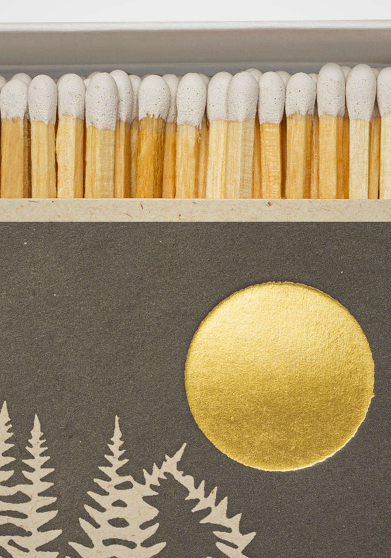 Fern Matchbox