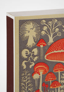 Mushroom Matchbox