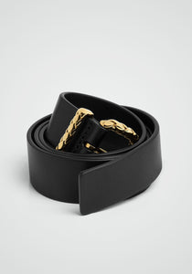 Coaxial Loop Belt