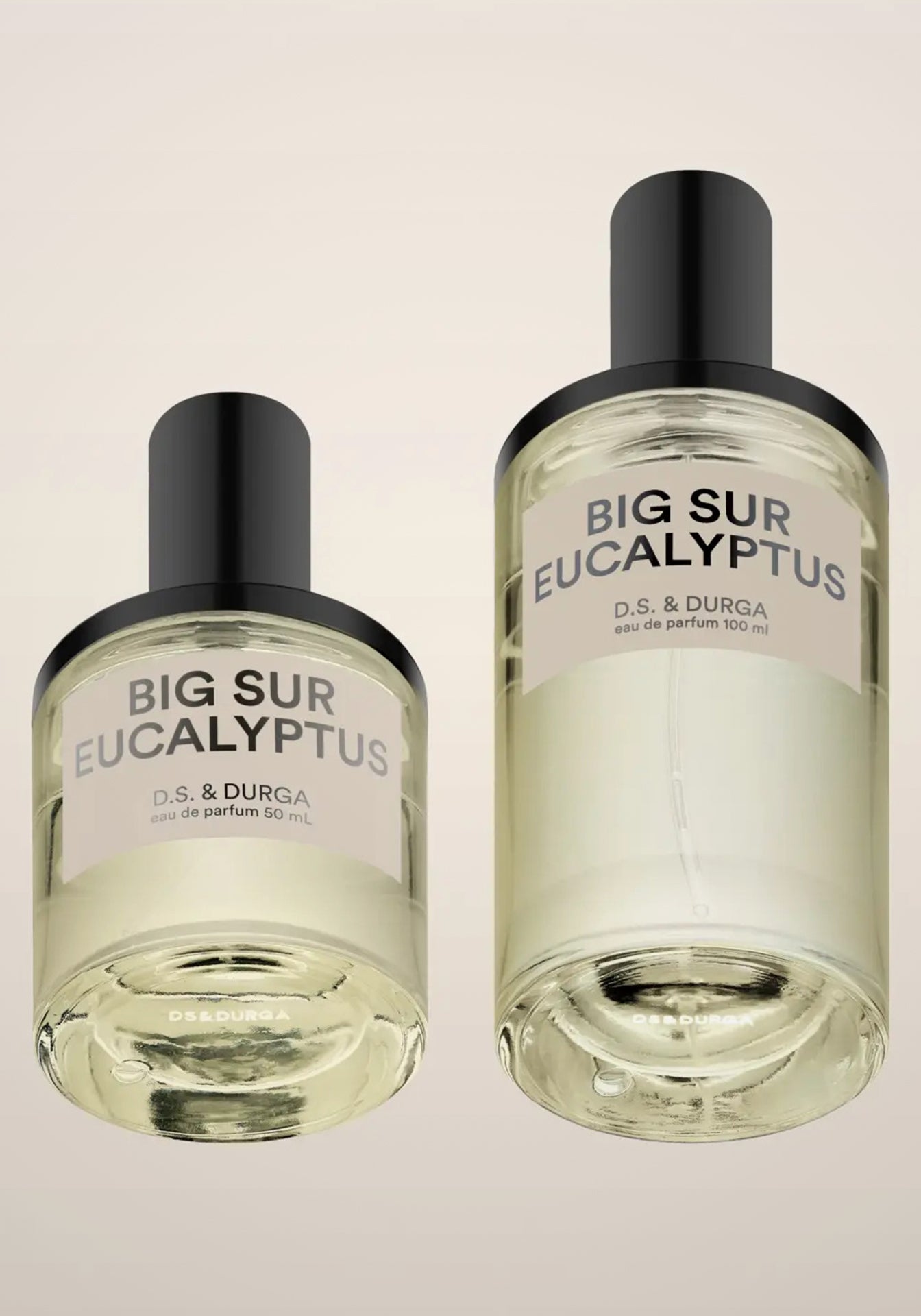 Big Sur Eucalyptus Eau de Parfum, 100ml