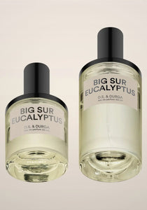 Big Sur Eucalyptus Eau de Parfum, 100ml