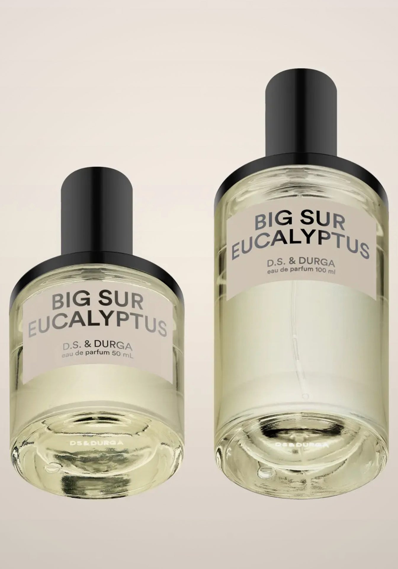 Big Sur Eucalyptus Eau de Parfum, 50ml