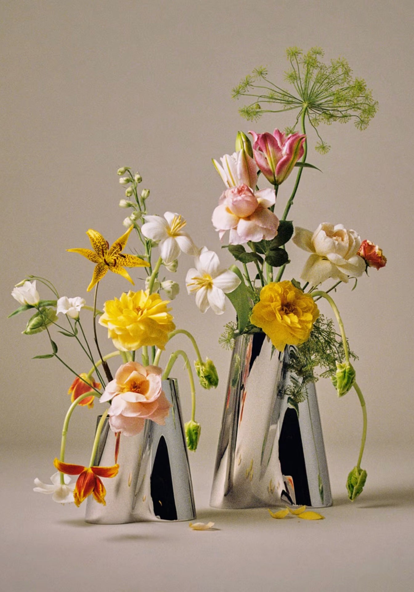 Lituus Vasem, Medium