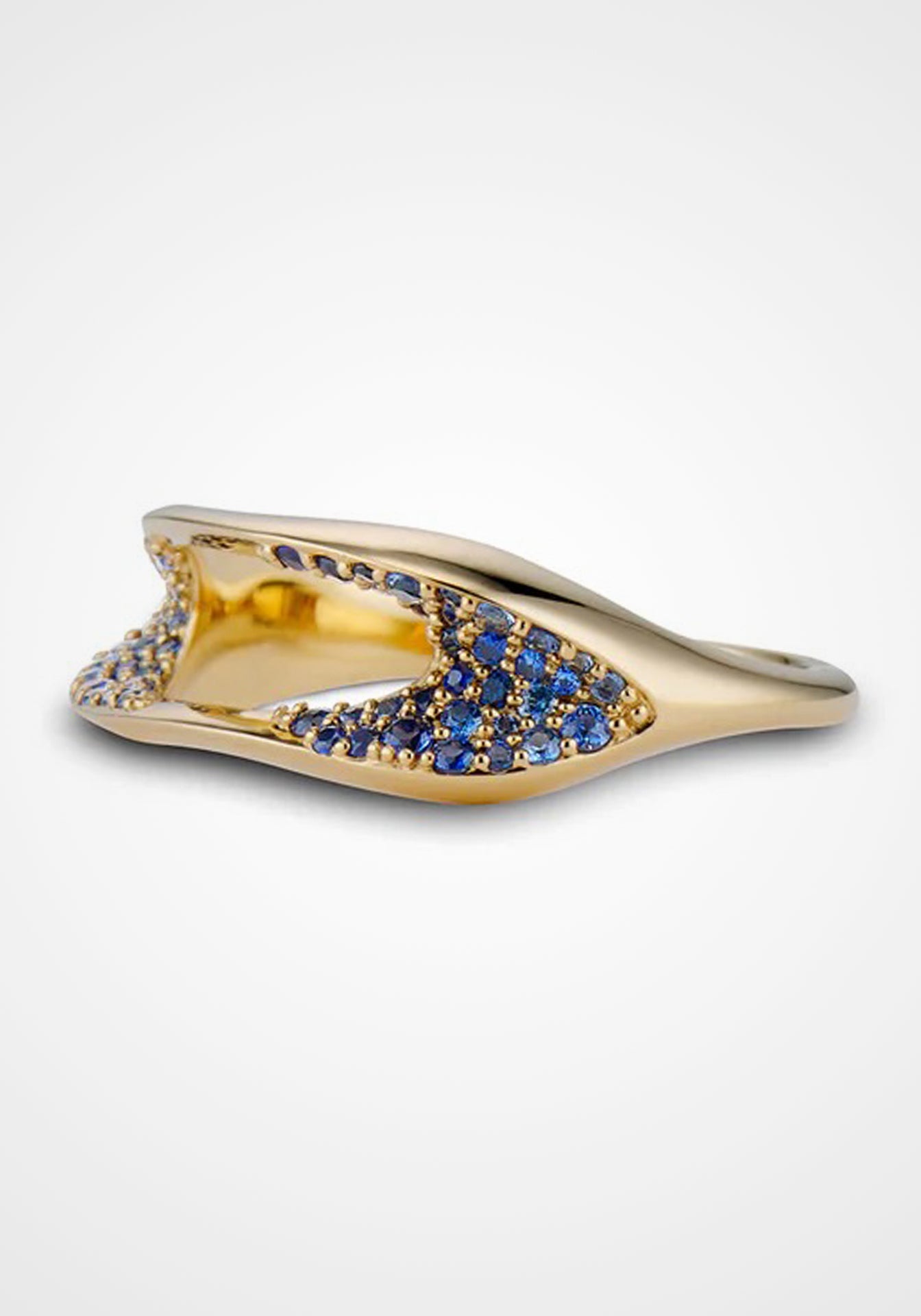 Aerial Concordia, 18K Yellow Gold + Blue Sapphire Ring