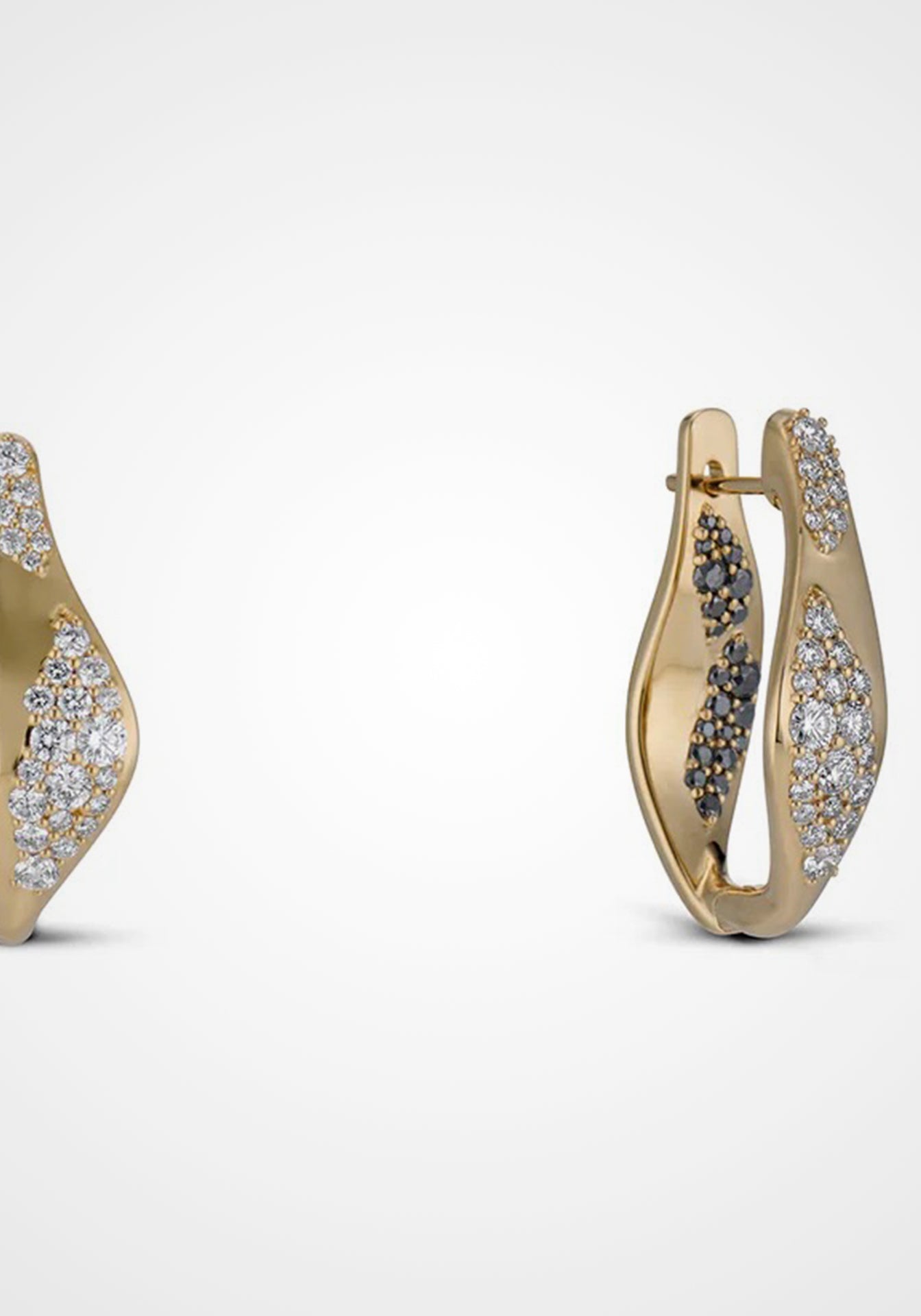 Aerial Dyrne, 18K Yellow Gold + Black Diamond Earrings