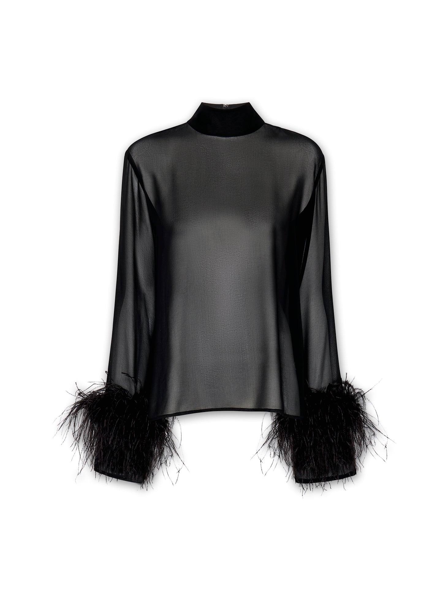 Georgette Top With Feathers