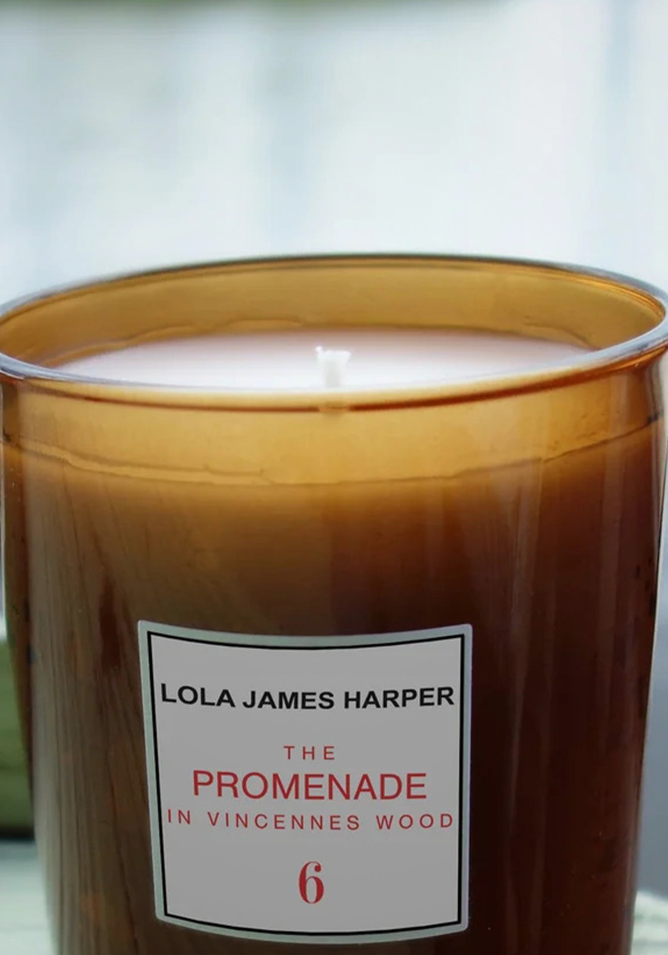 The Promenade in Vincennes Wood Candle