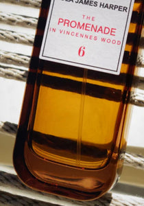 The Promenade in Vincennes Wood Home Fragrance