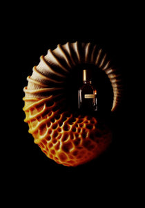 Bergamask Parfum