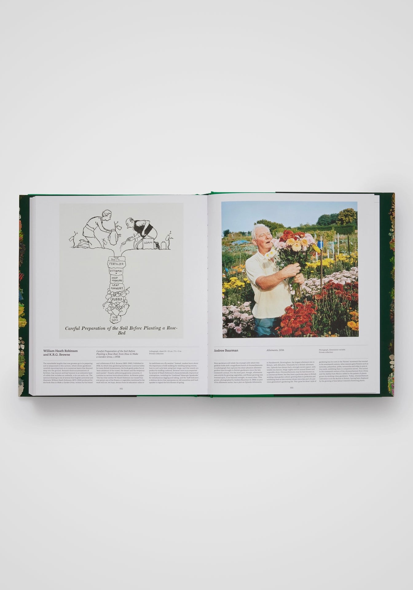 Garden: Exploring the Horticultural World