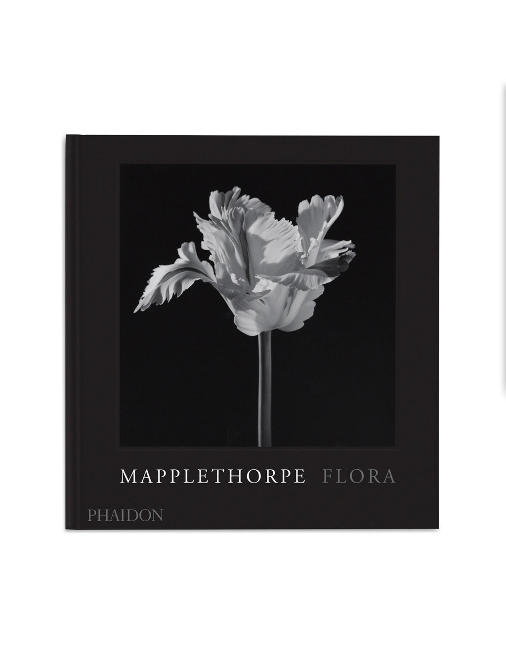 Mapplethorpe Flora: The Complete Flowers – The Conservatory NYC