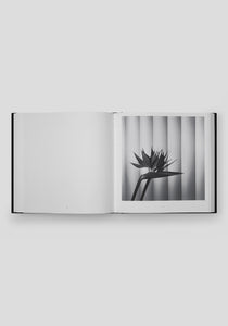 Mapplethorpe Flora: The Complete Flowers