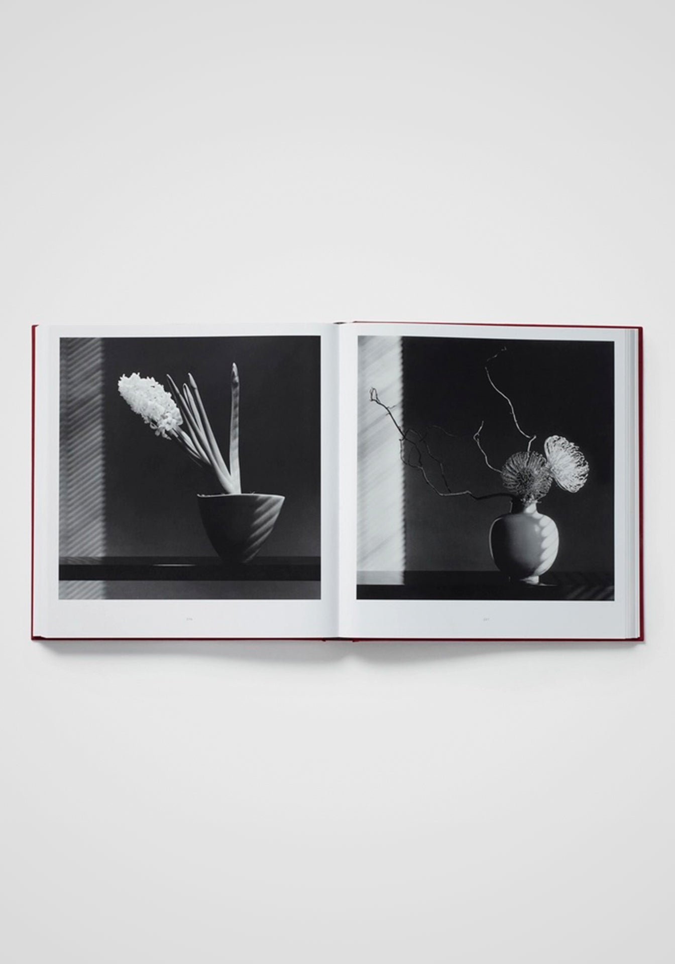 Mapplethorpe Flora: The Complete Flowers