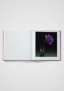 Mapplethorpe Flora: The Complete Flowers