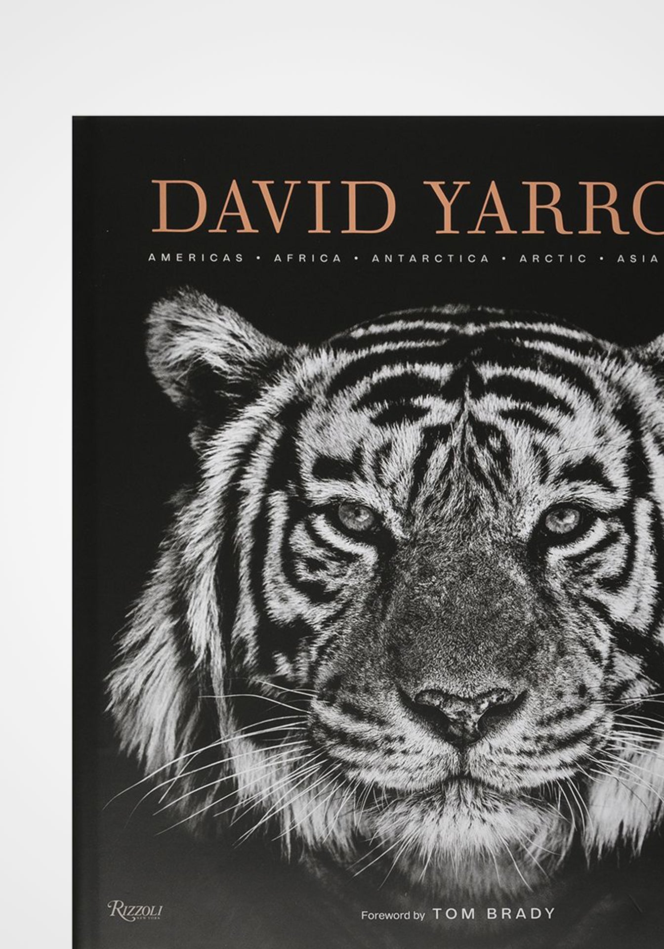 David Yarrow Photography