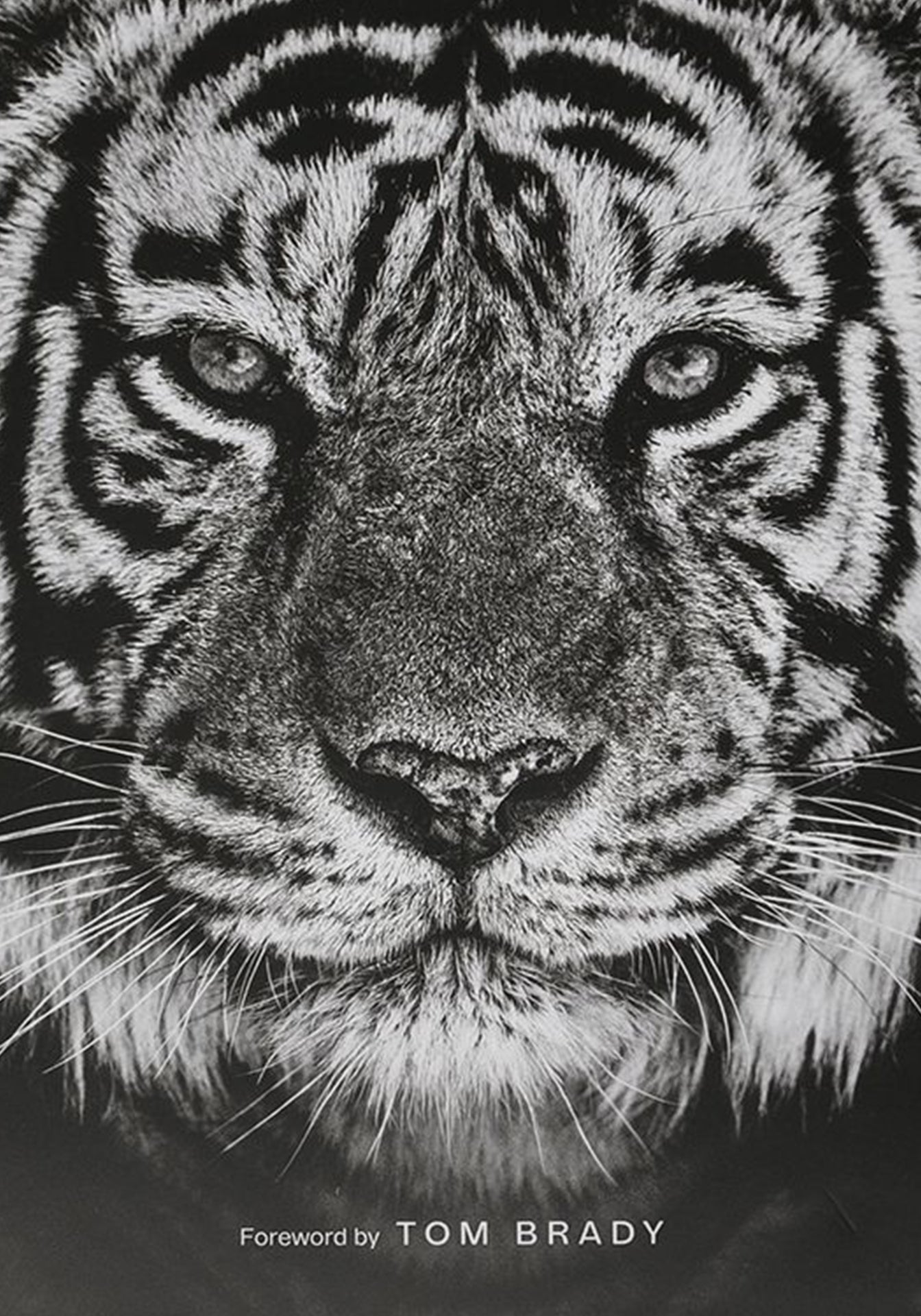 David Yarrow Photography
