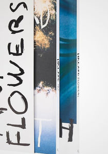 François Halard: Art + Flowers
