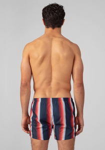 Swim Shorts with Checks