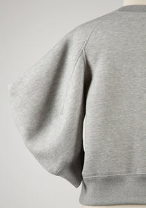 Sponge Sweat Pullover