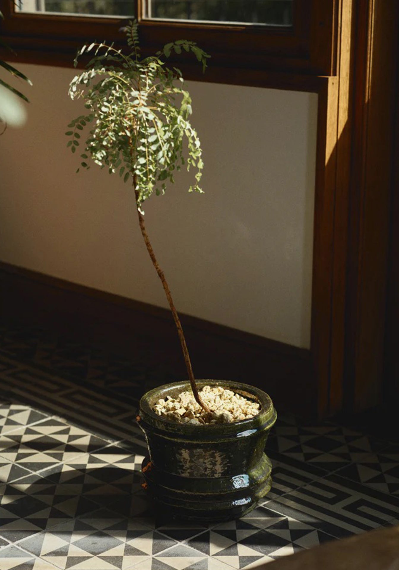 Mesa Planter 01, Small