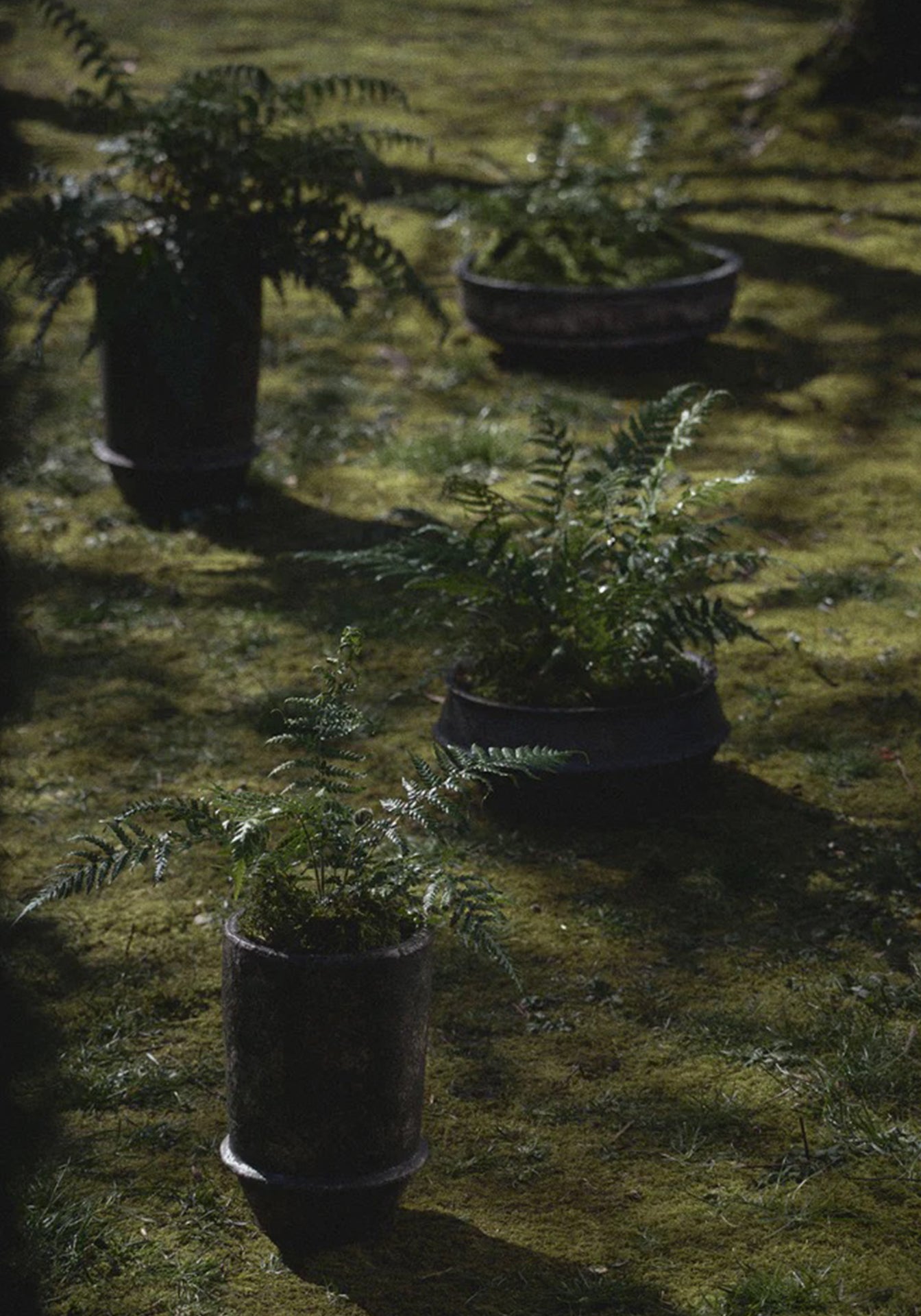 Dune Planter 02, Medium