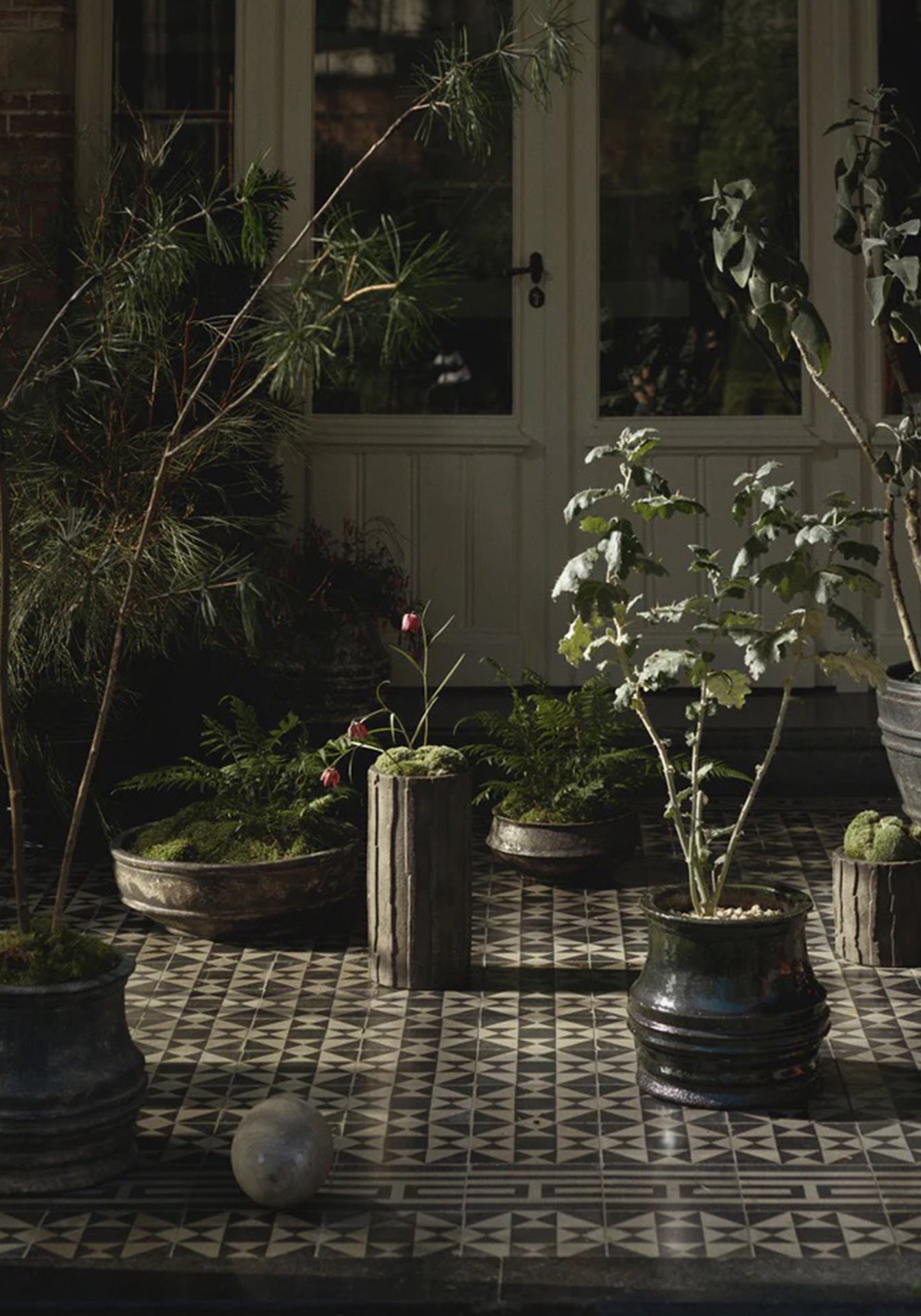 Rift Planter 03, Small