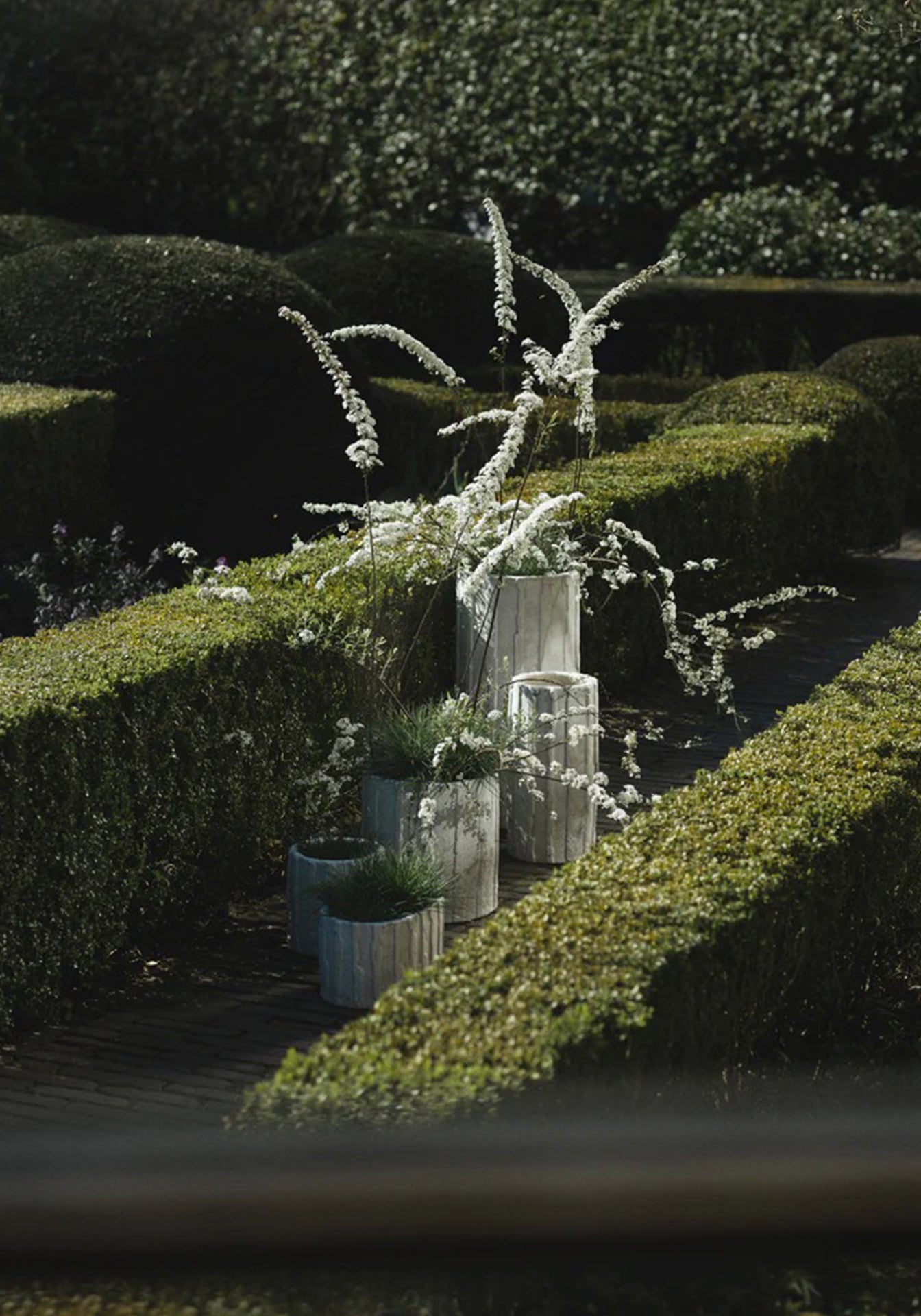 Rift Planter 03, Small