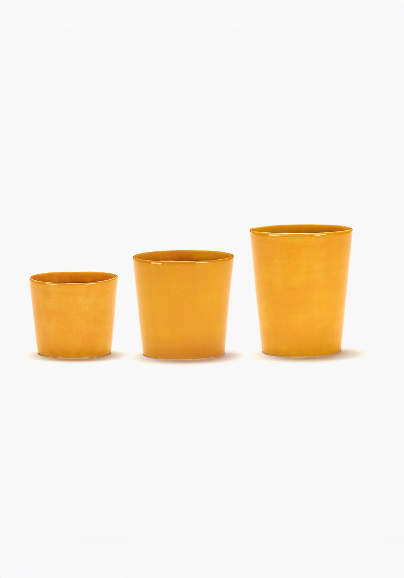 Feast Sunny Yellow Coffee Cup, Set of 4