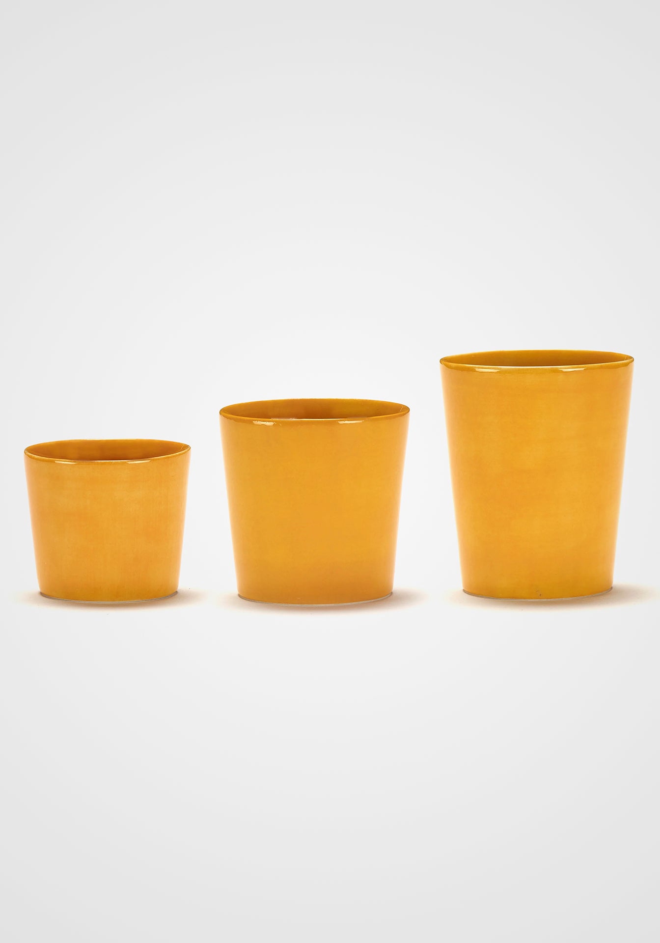 Feast Sunny Yellow Tea Cup, Set of 4