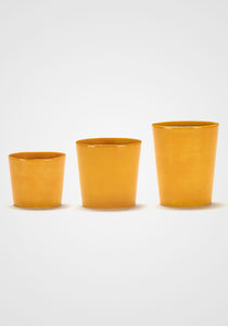 Feast Sunny Yellow Tea Cup, Set of 4