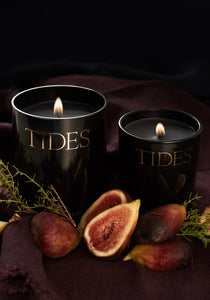 Tides Sand + Fig Trees Candle
